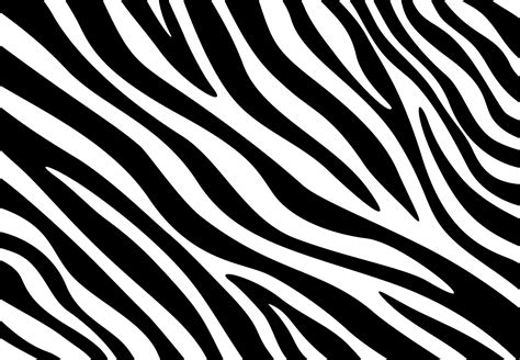 Zebra Prints 